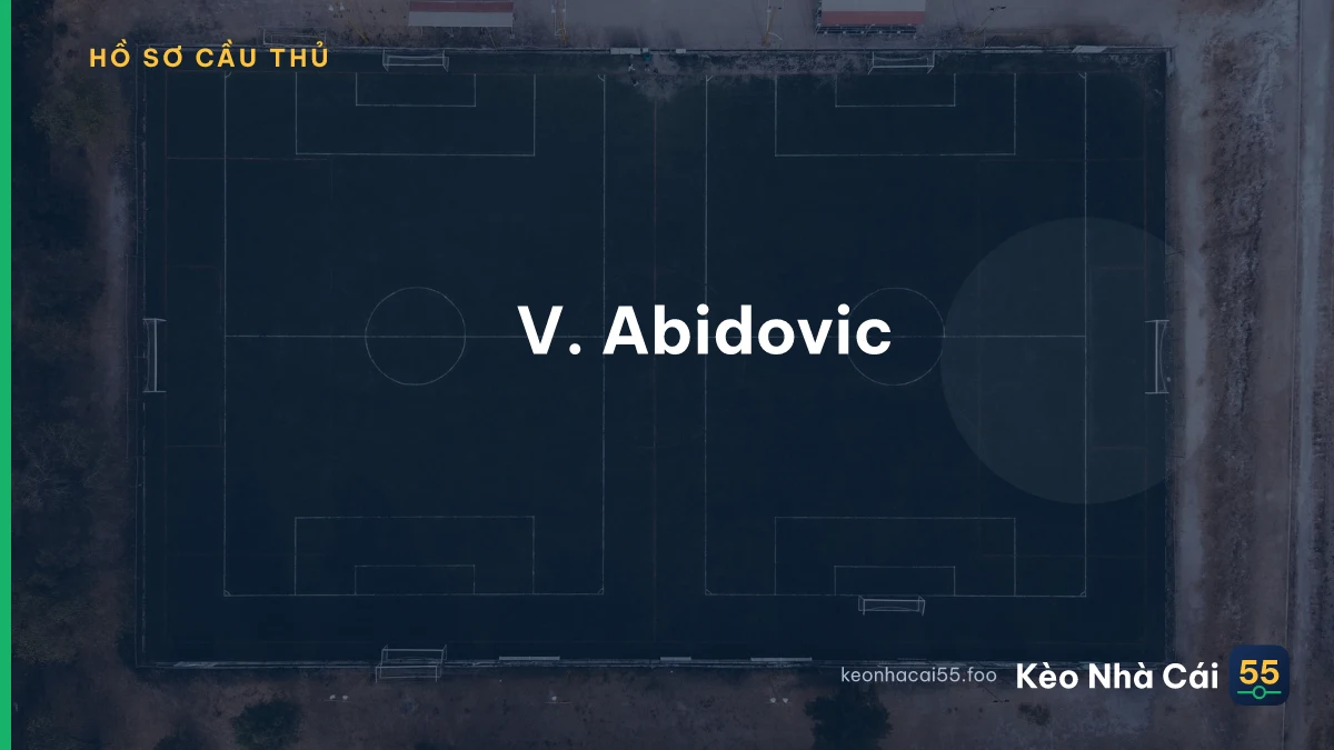 V. Abidovic