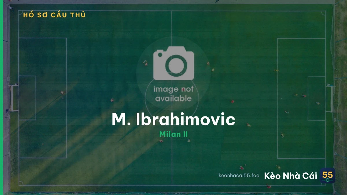 M. Ibrahimovic