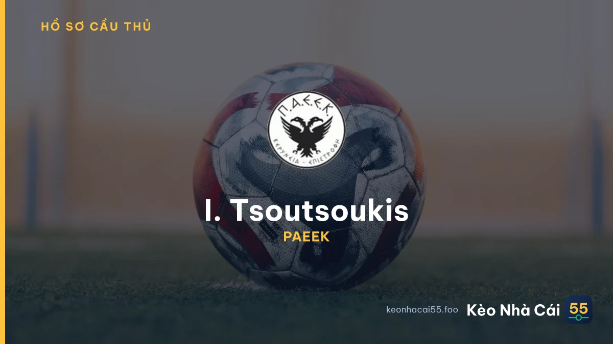 I. Tsoutsoukis