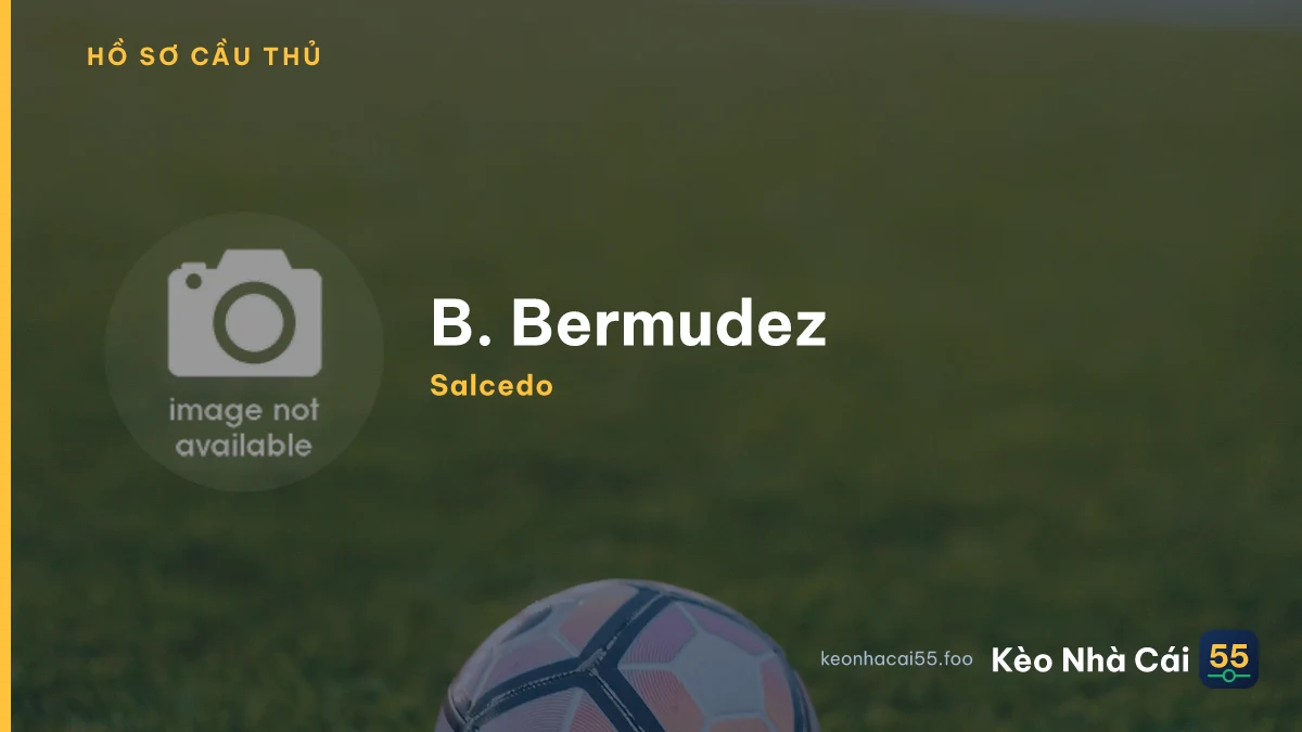 B. Bermudez — Salcedo