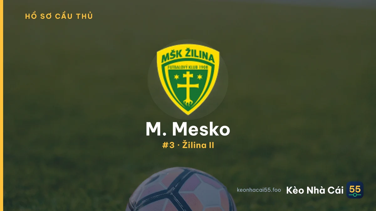 M. Mesko — Žilina II