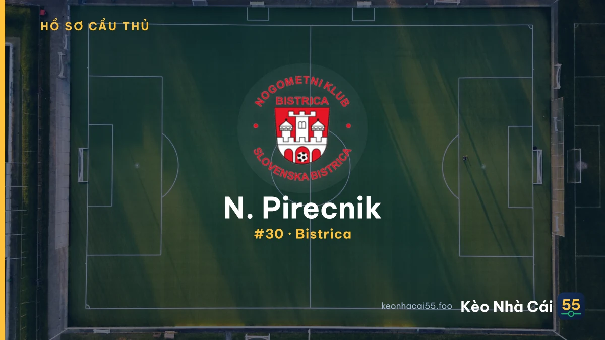 N. Pirecnik — Bistrica