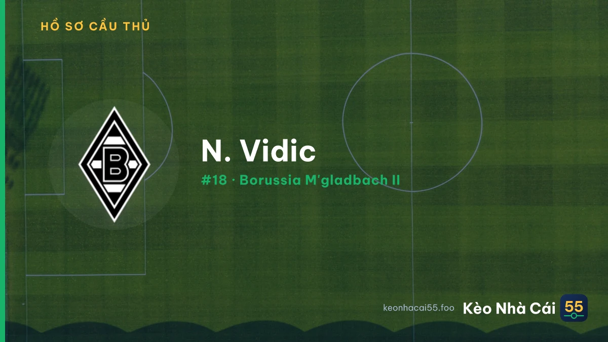 N. Vidic