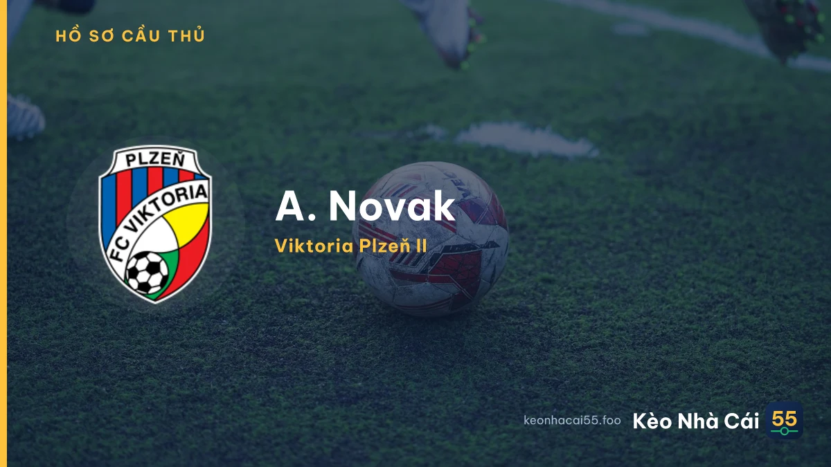 A. Novak — Plzen