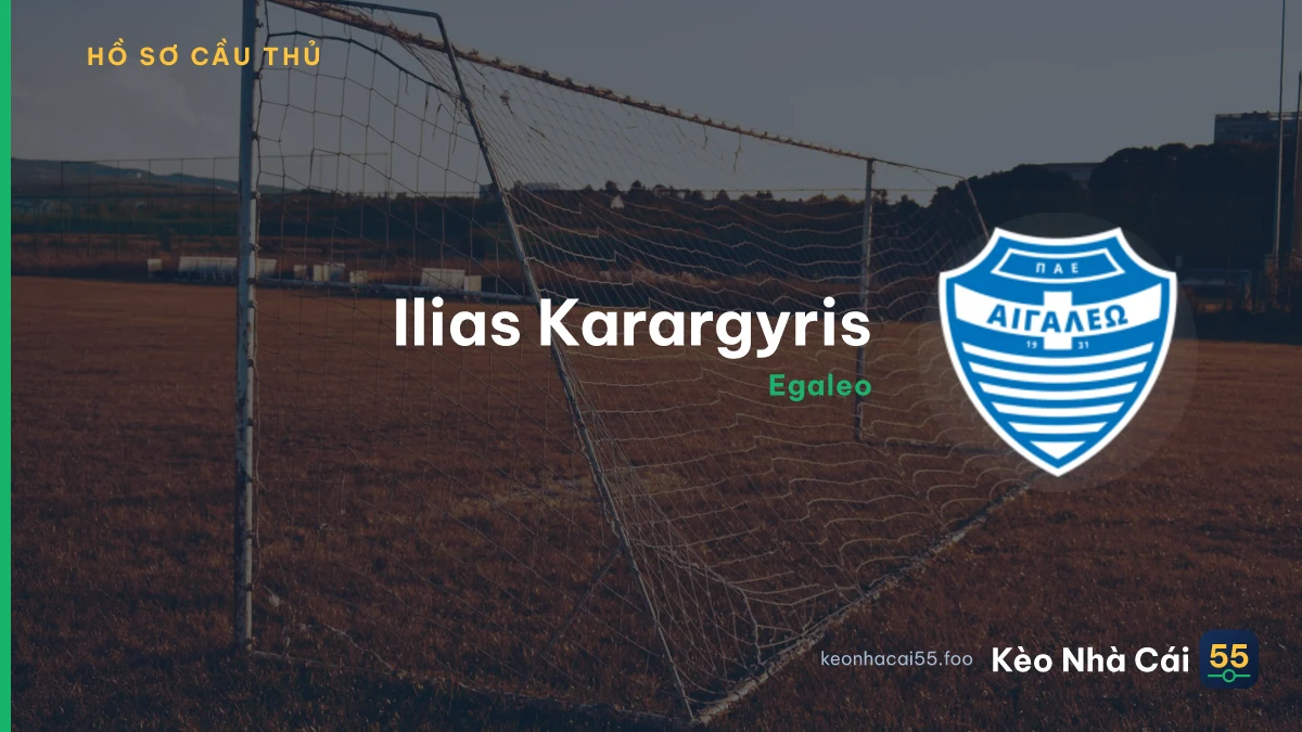 Ilias Karargyris