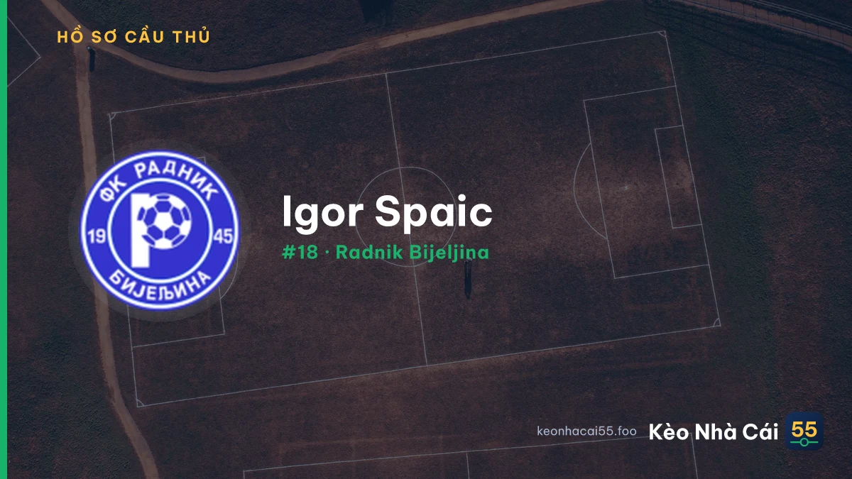 Igor Spaic — Radnik Bijeljina