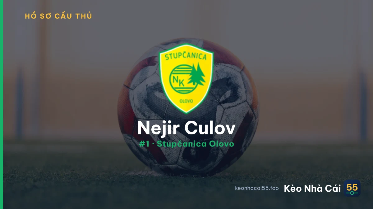 Nejir Culov — Stupčanica Olovo