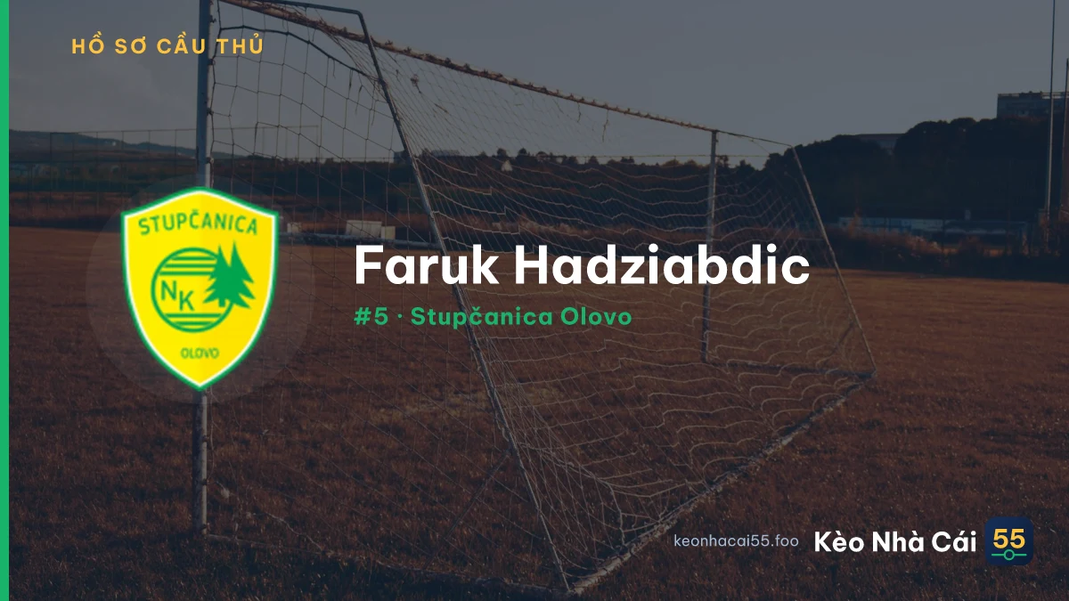 Faruk Hadziabdic — Stupčanica Olovo