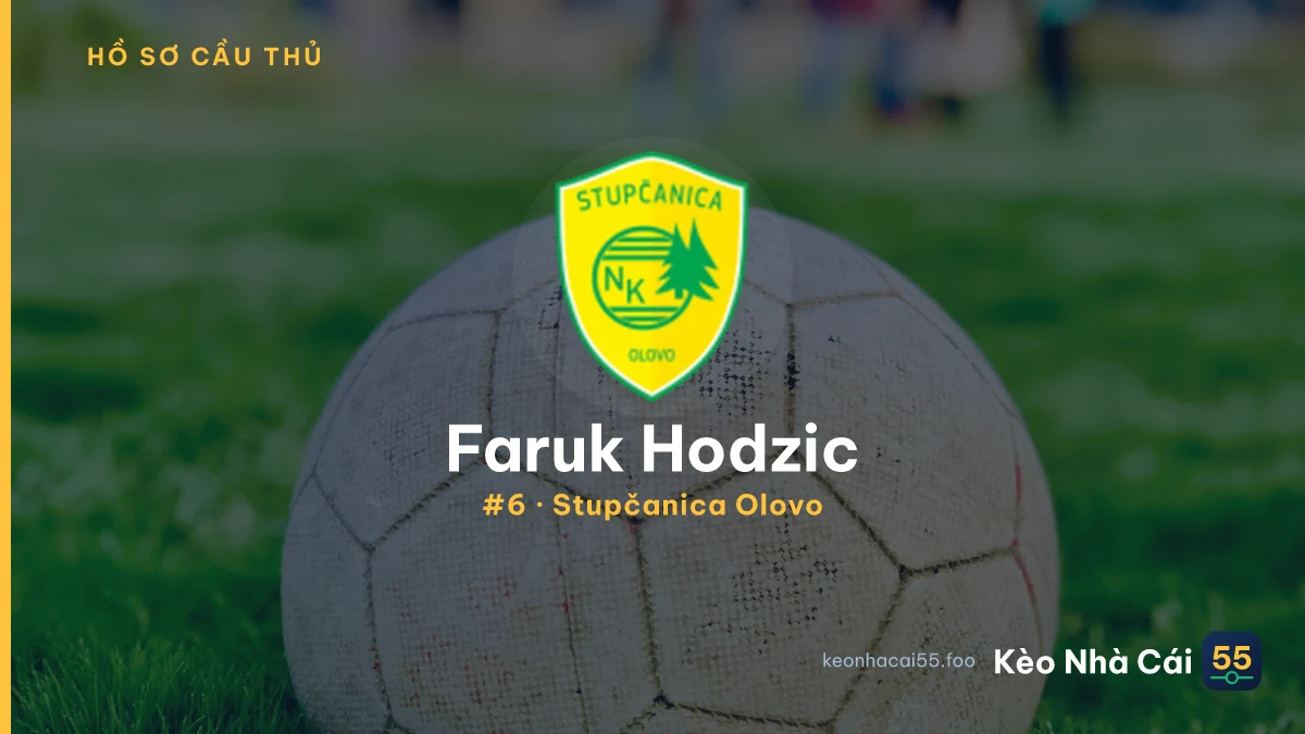 Faruk Hodzic — Stupčanica Olovo