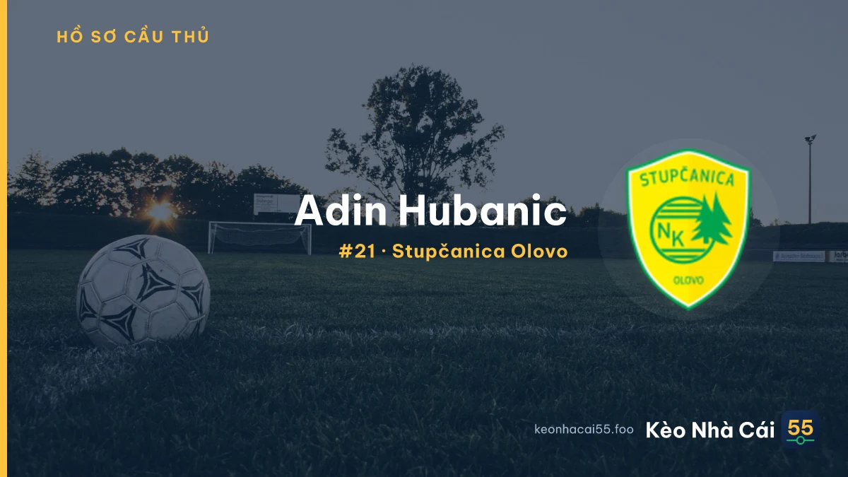 Adin Hubanic — Stupčanica Olovo