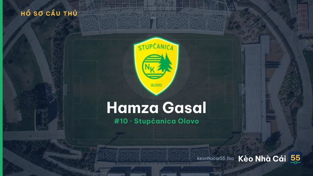 Hamza Gasal — Stupčanica Olovo