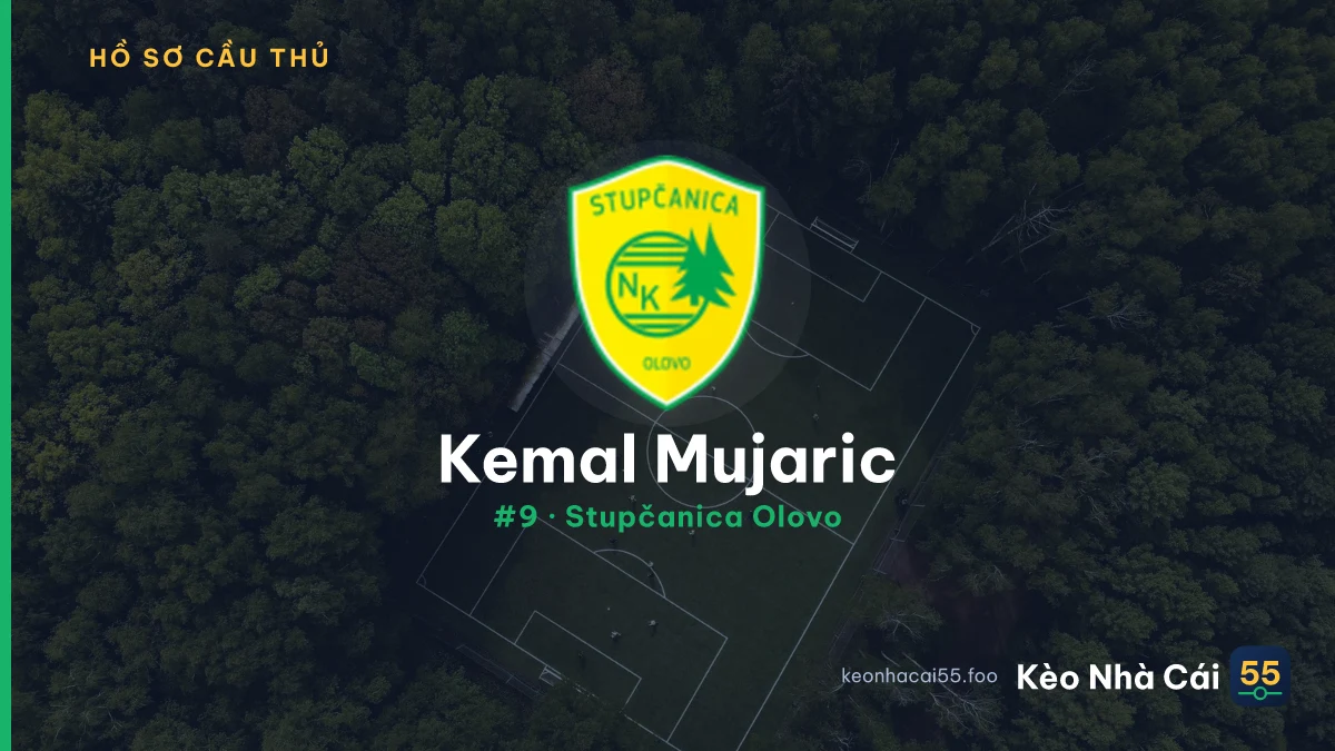 Kemal Mujaric — Stupčanica Olovo