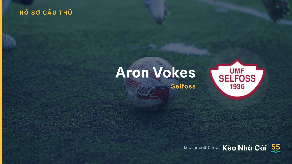 Aron Vokes