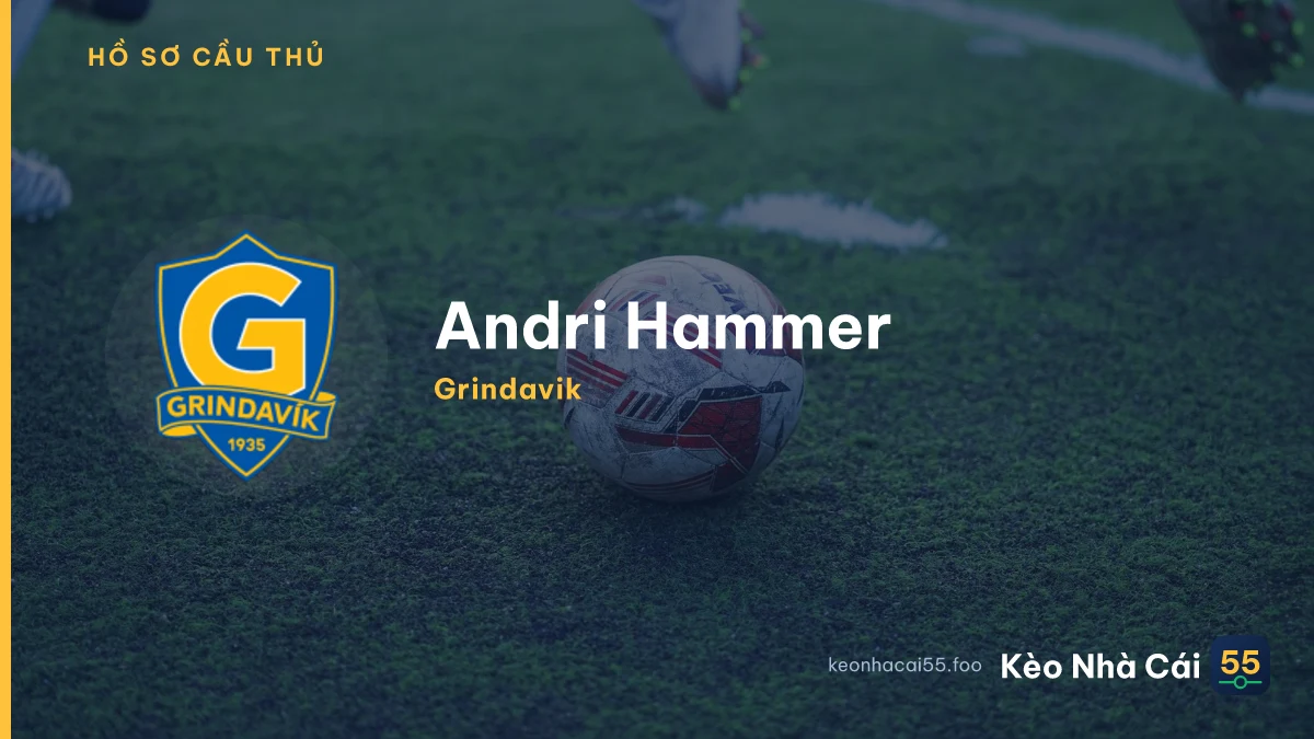 Andri Hammer