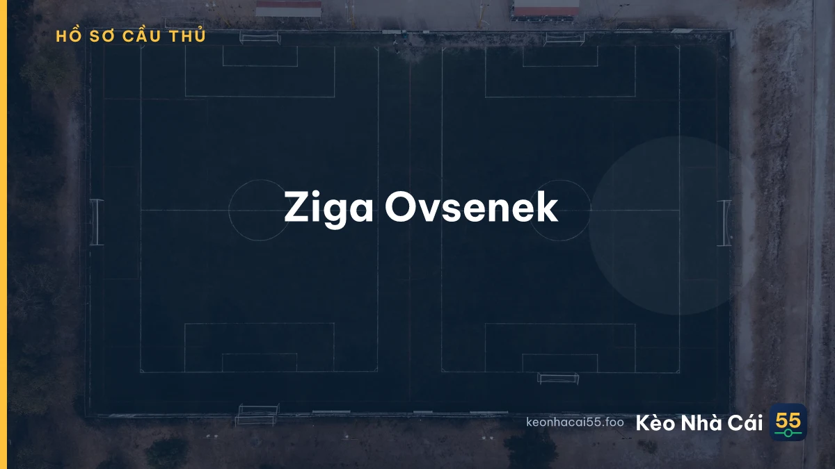 Ziga Ovsenek