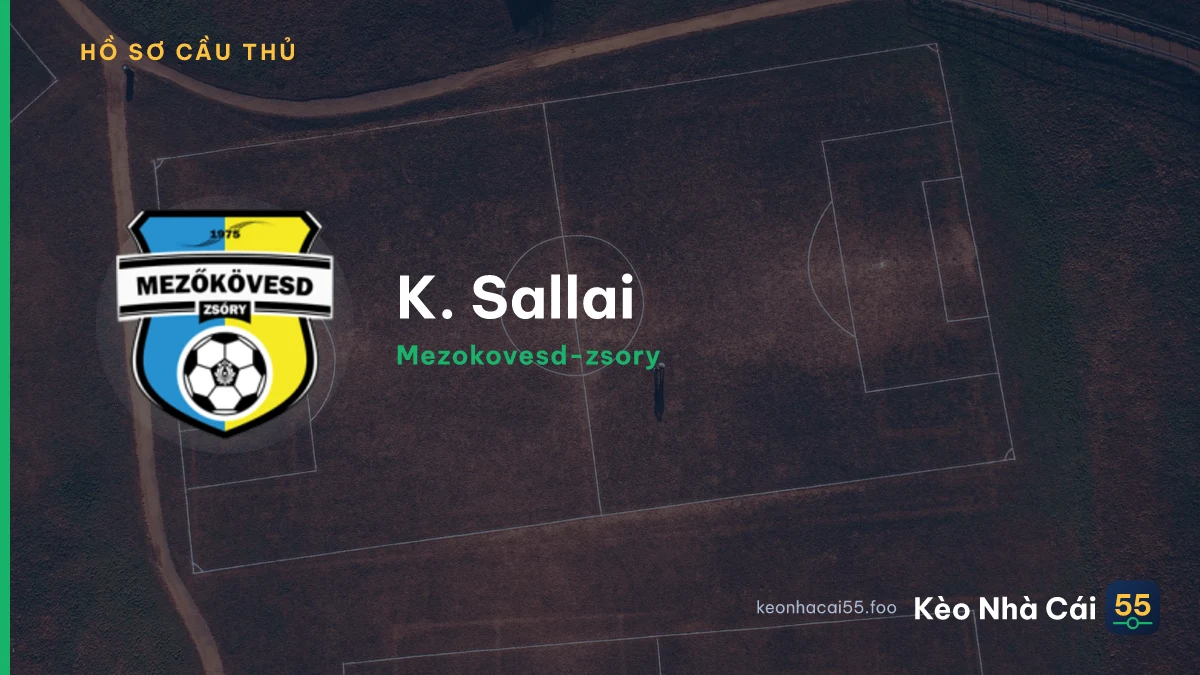 K. Sallai