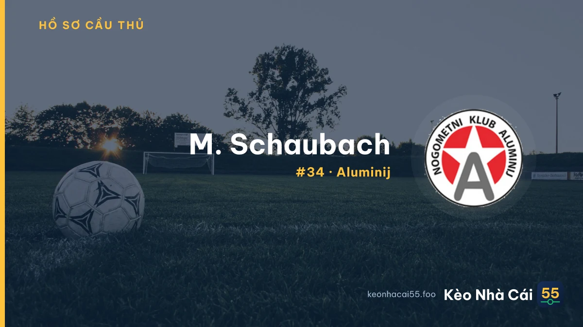 M. Schaubach