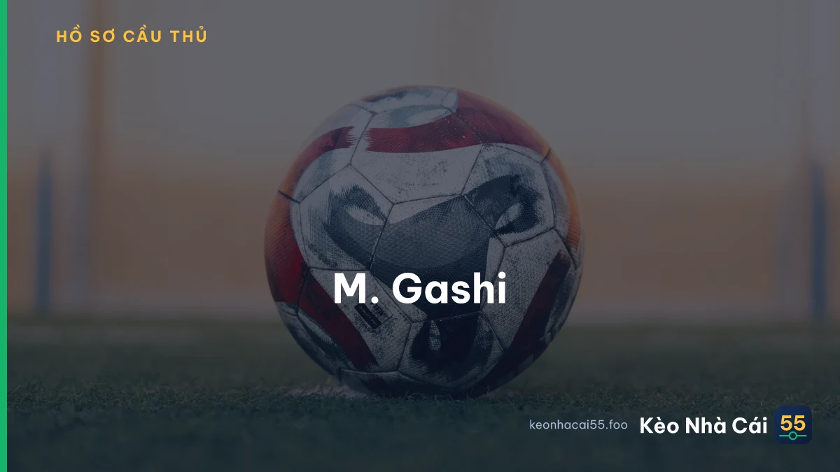 M. Gashi