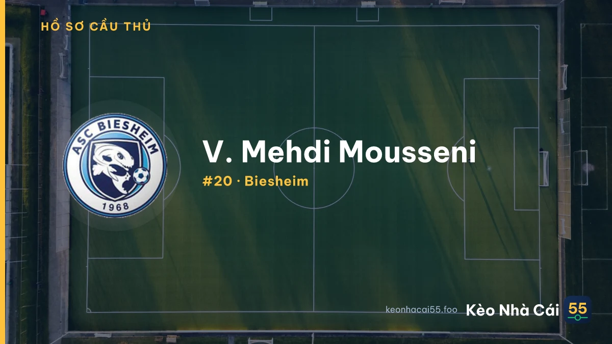 V. Mehdi Mousseni