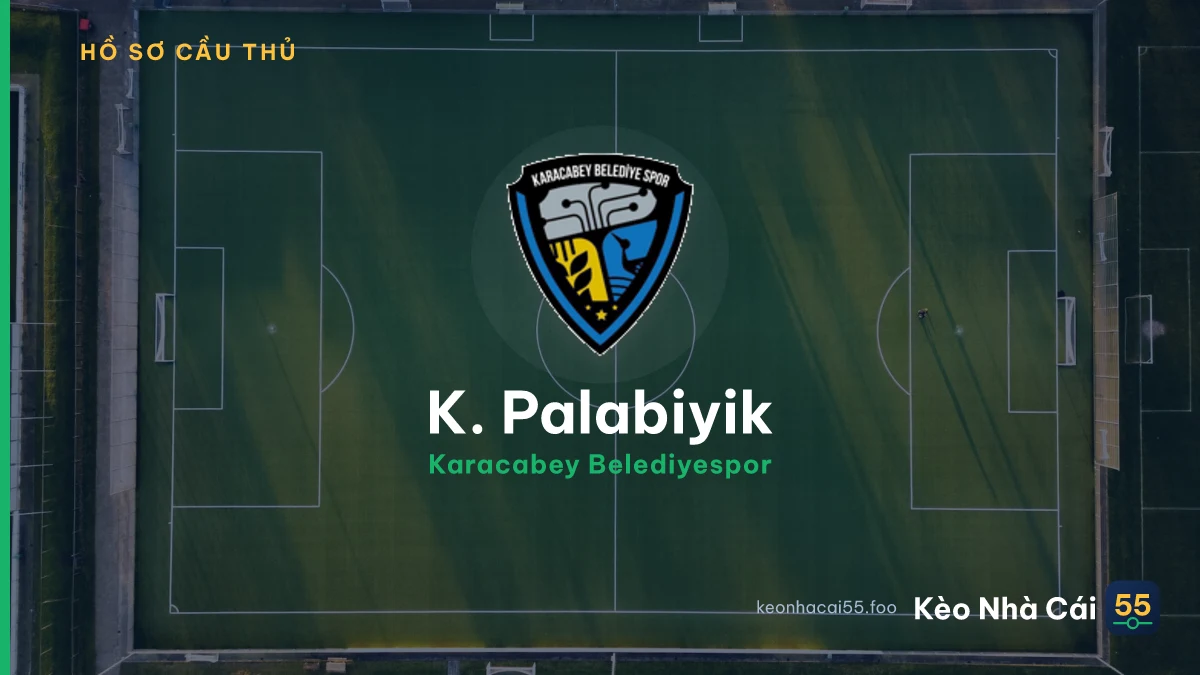 K. Palabiyik — Karacabey Belediyespor