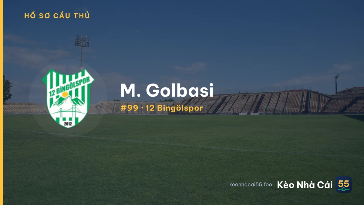 M. Golbasi — 12 Bingölspor