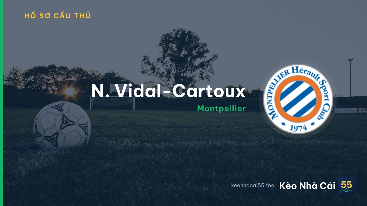 N. Vidal-Cartoux