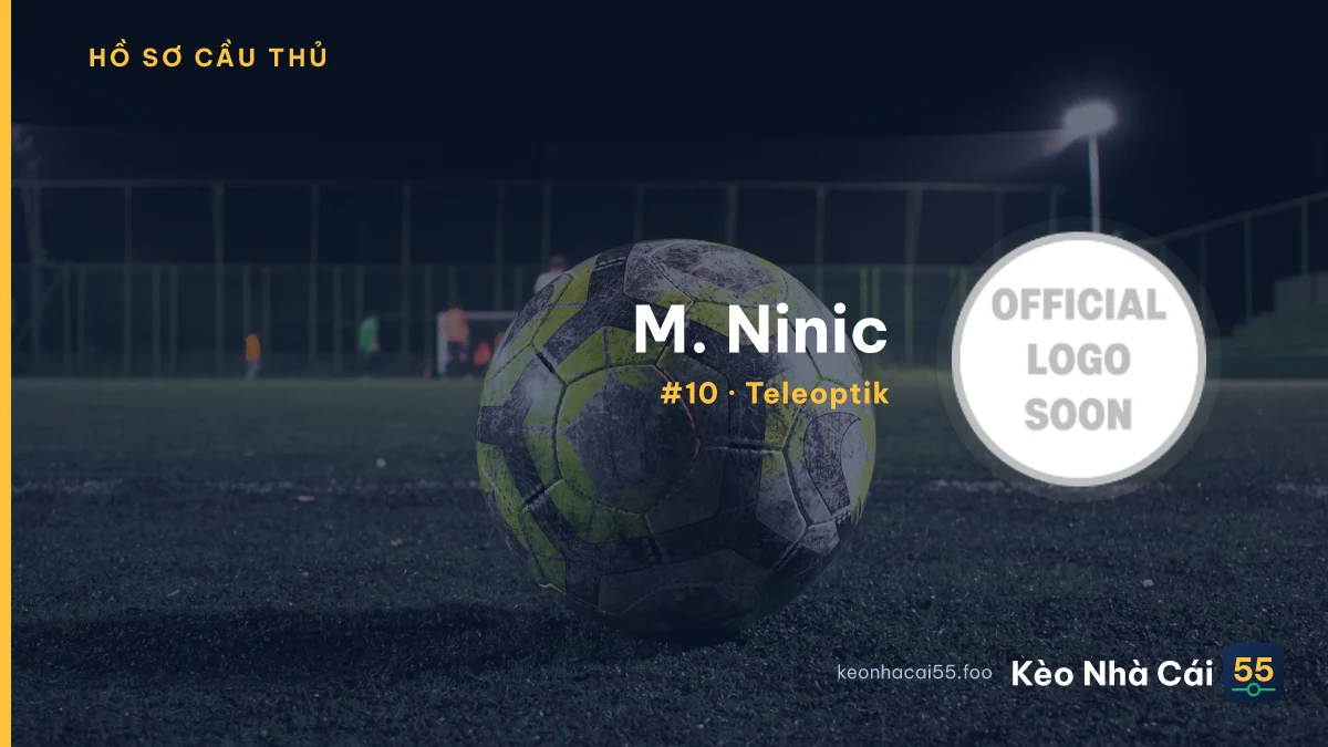 M. Ninic — Teleoptik