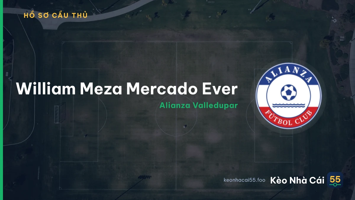 William Meza Mercado Ever