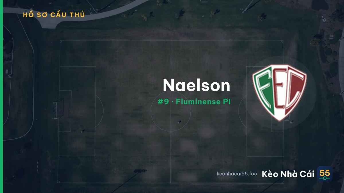 Naelson — Fluminense PI