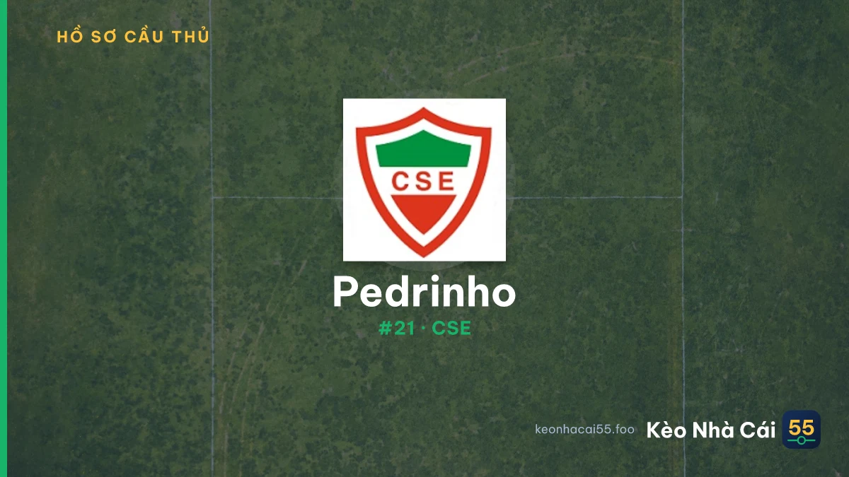 Pedrinho — CSE