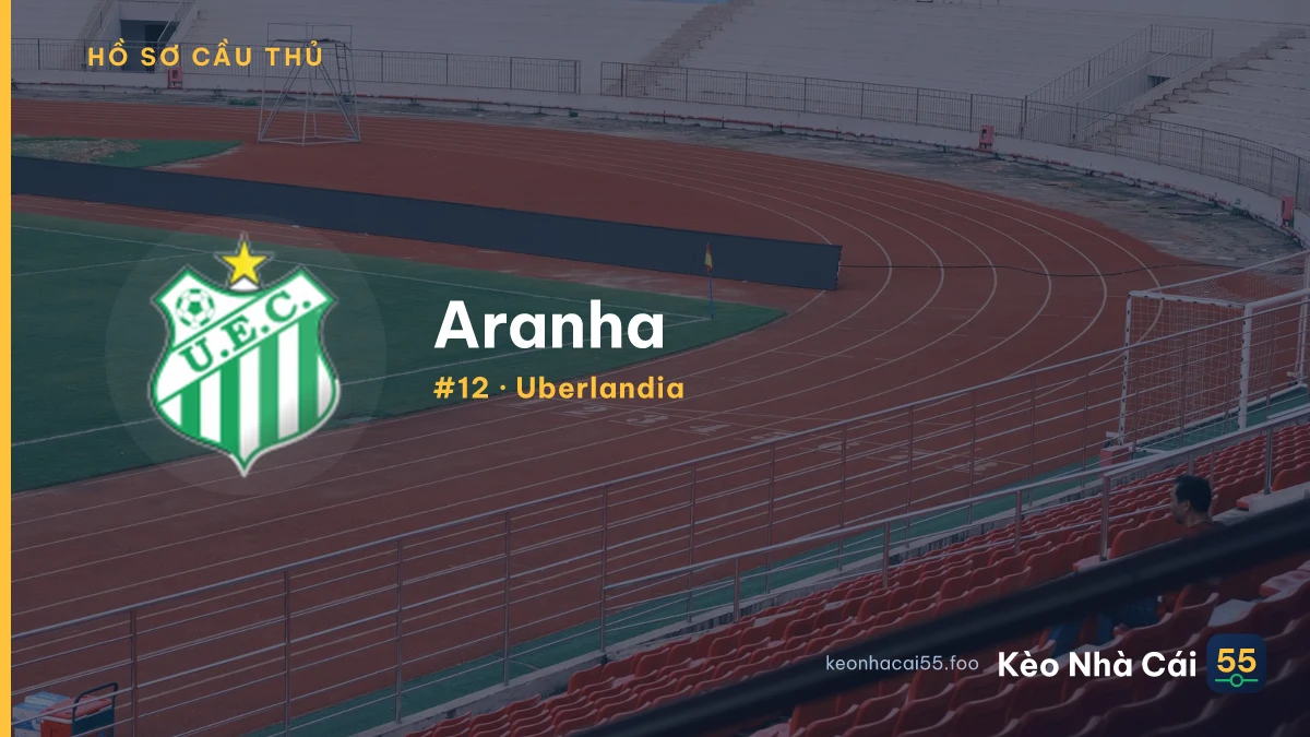 Aranha — Uberlandia