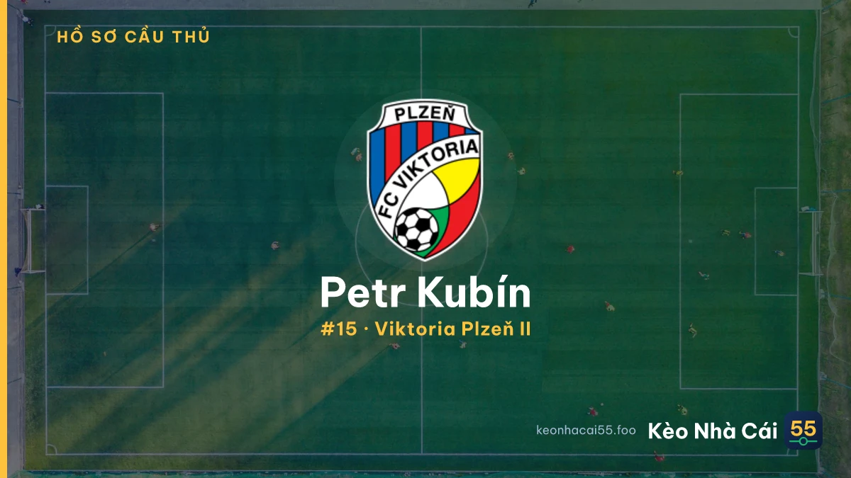 Petr Kubín — Plzen