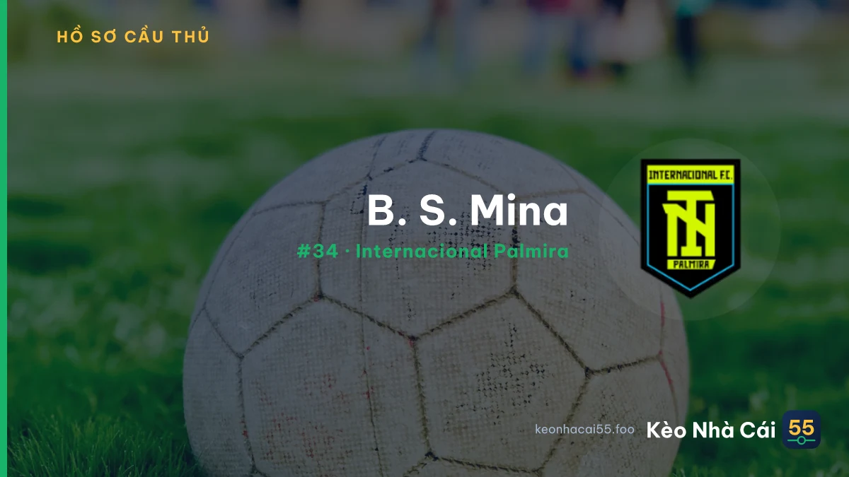 B. S. Mina