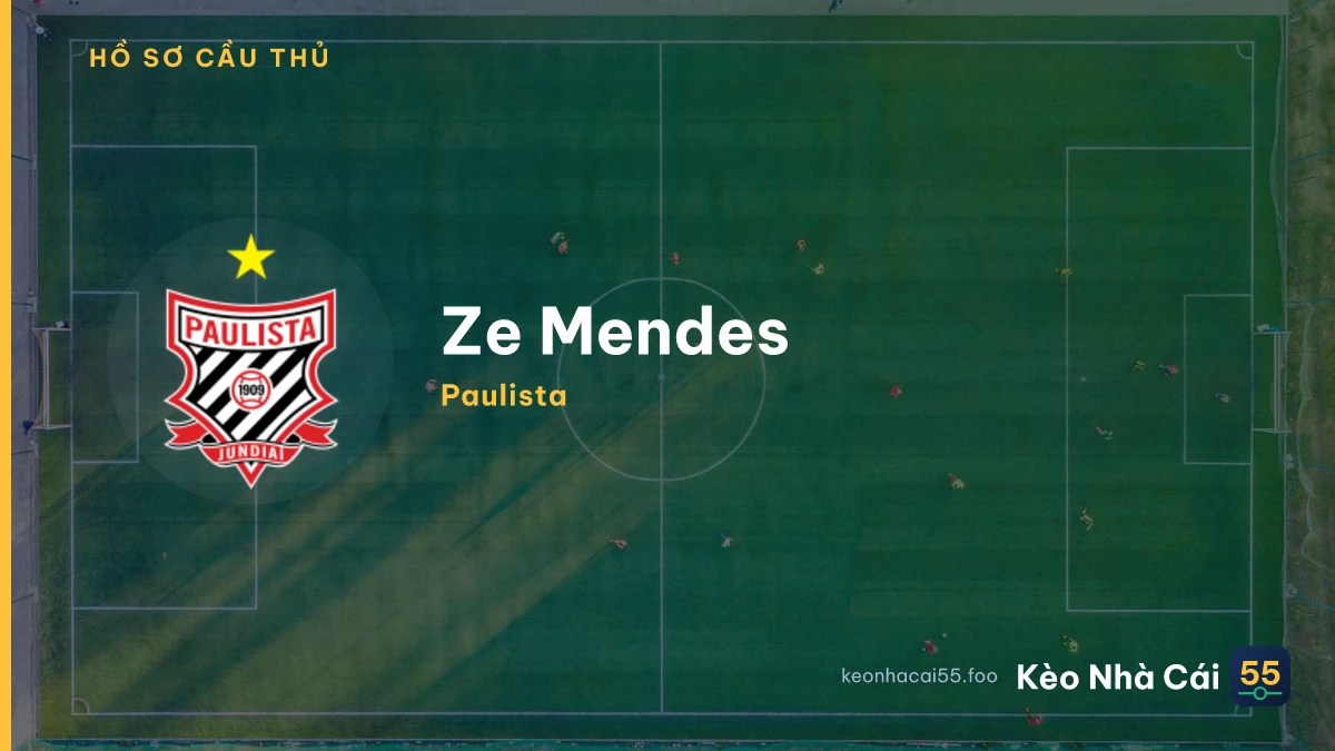 Ze Mendes — Blumenau