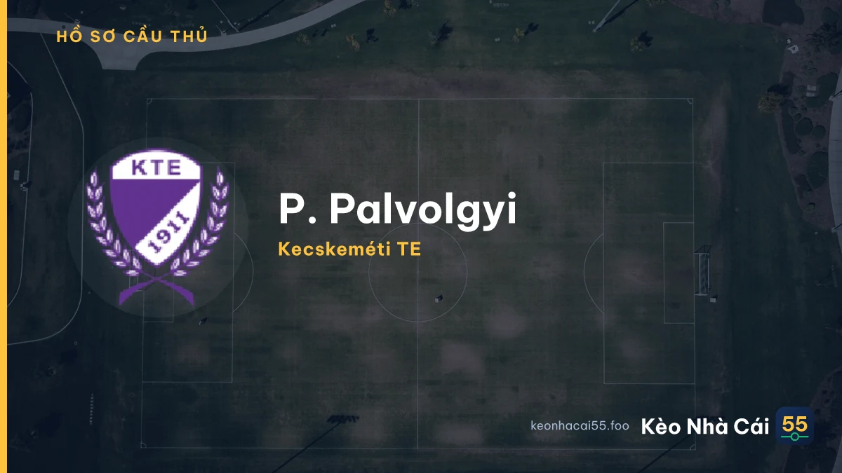 P. Palvolgyi