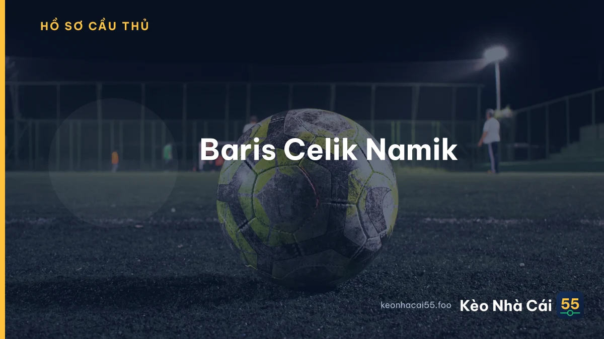Baris Celik Namik
