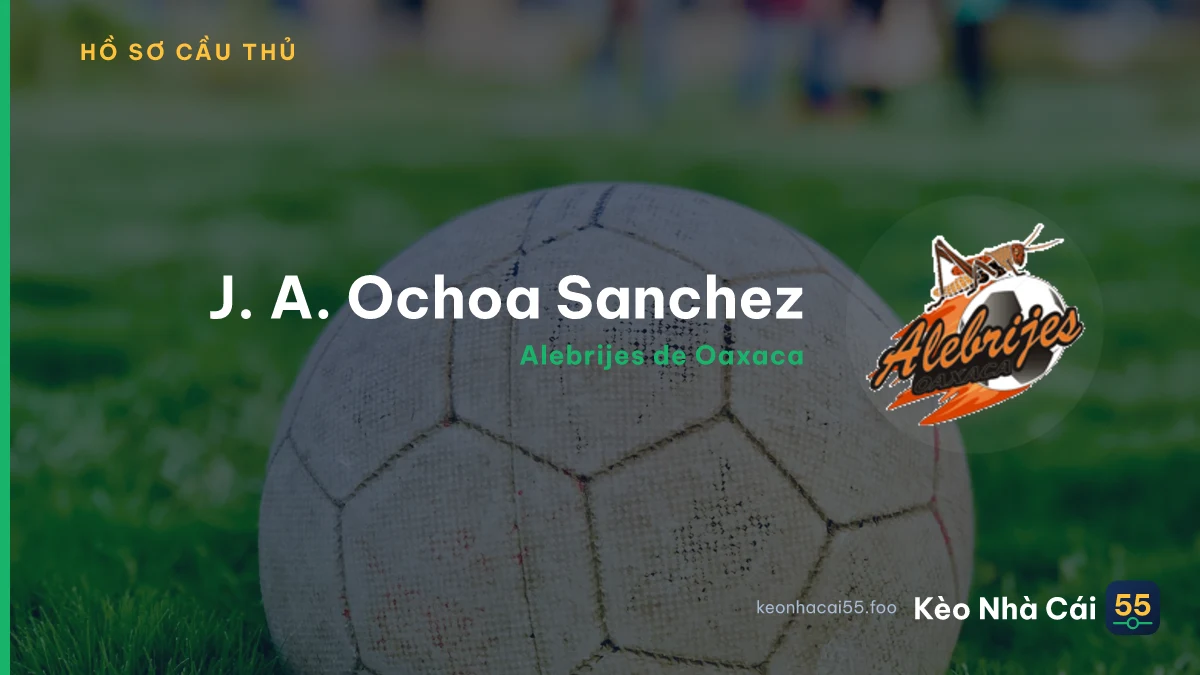 J. A. Ochoa Sanchez