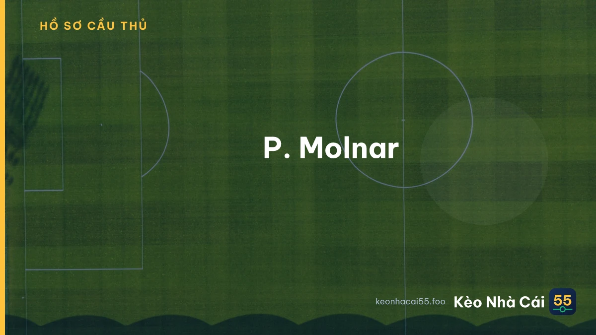 P. Molnar