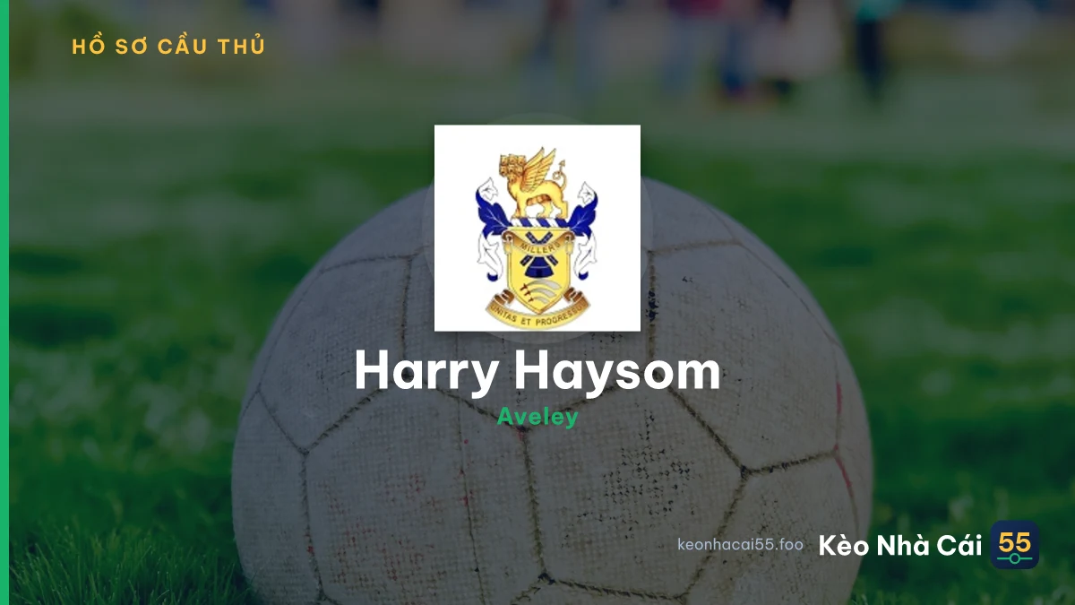 Harry Haysom