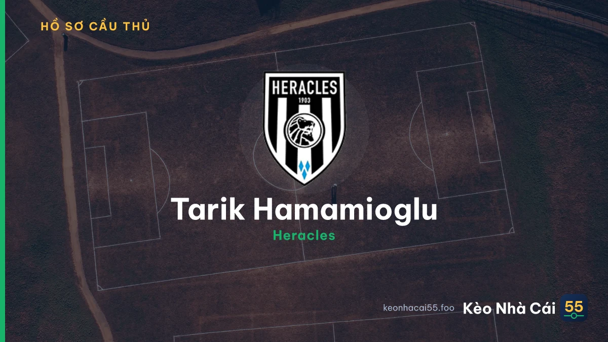 Tarik Hamamioglu