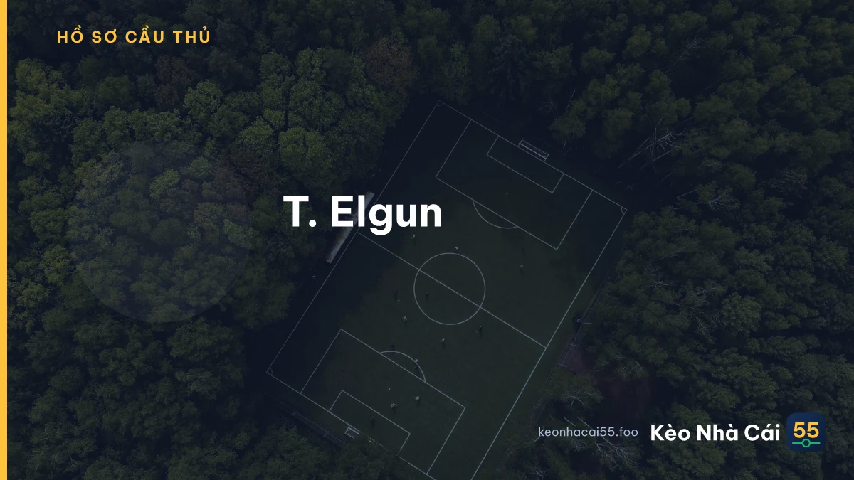 T. Elgun