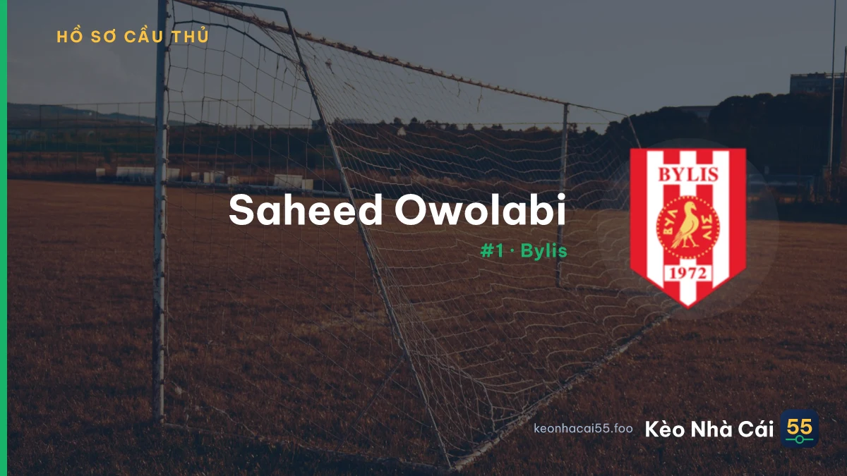 Saheed Owolabi — Bylis