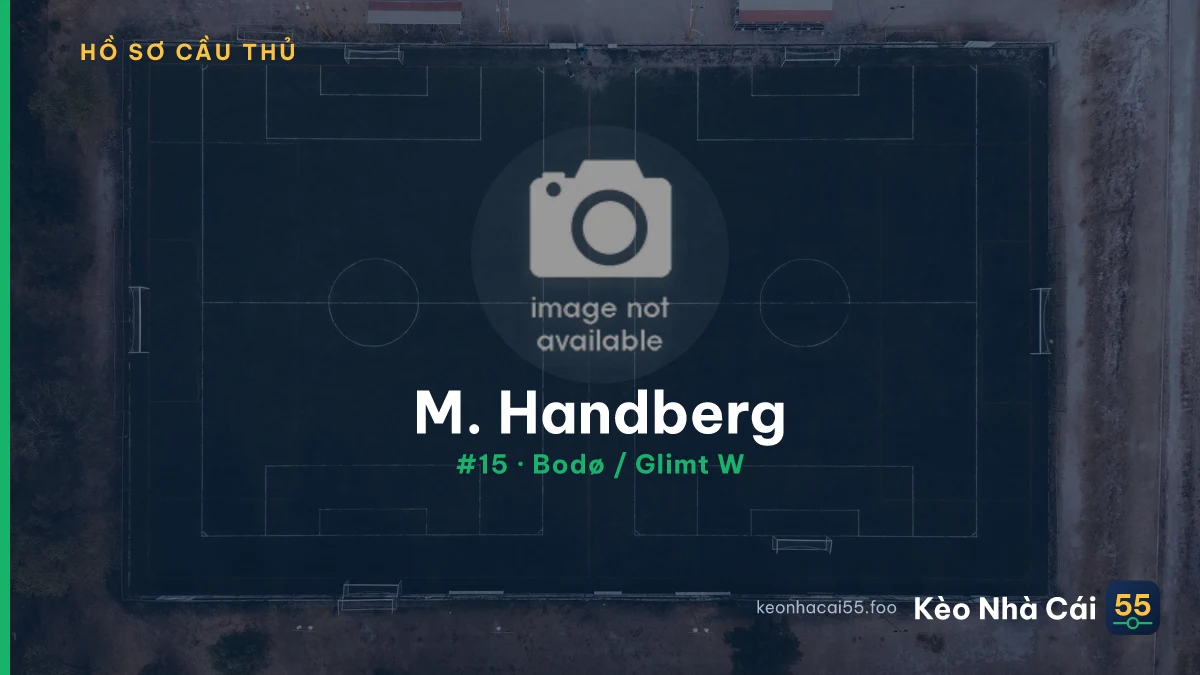M. Handberg — Bodø / Glimt W