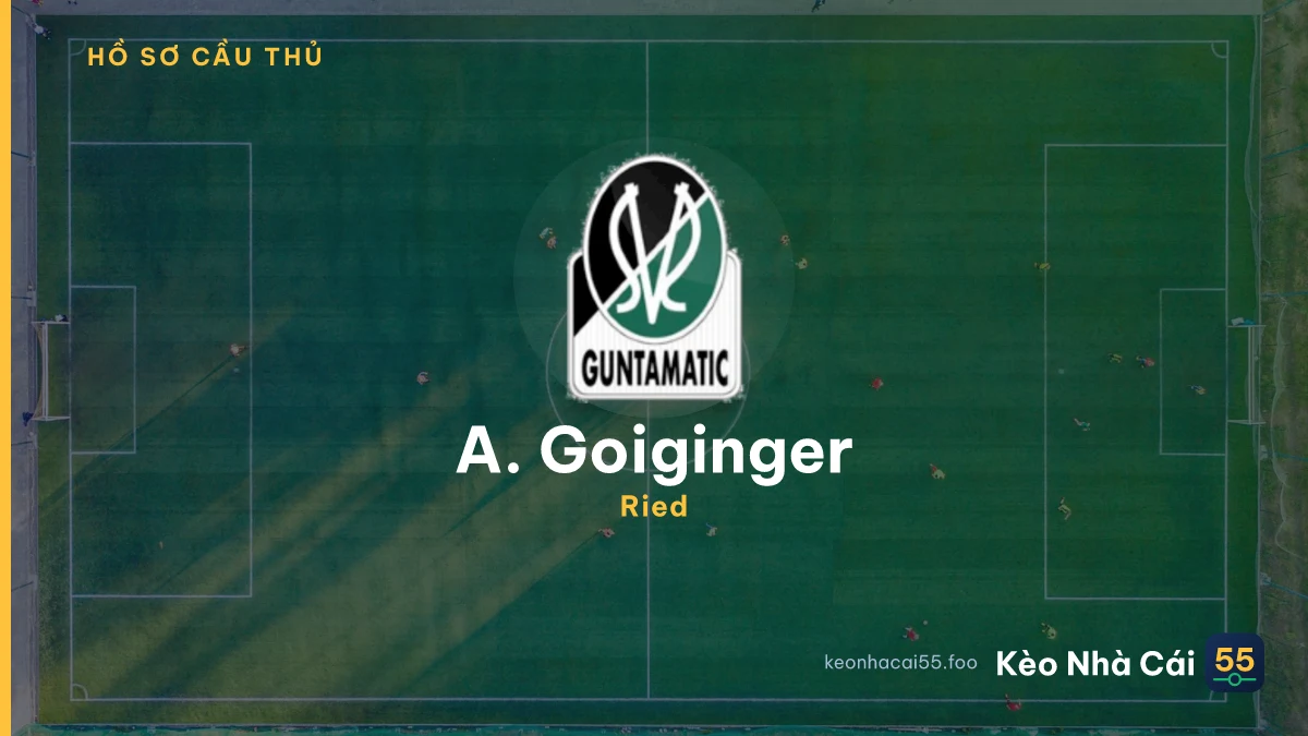 A. Goiginger