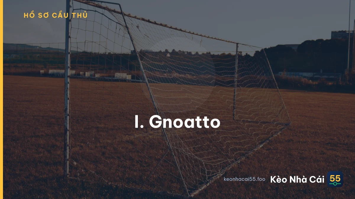 I. Gnoatto