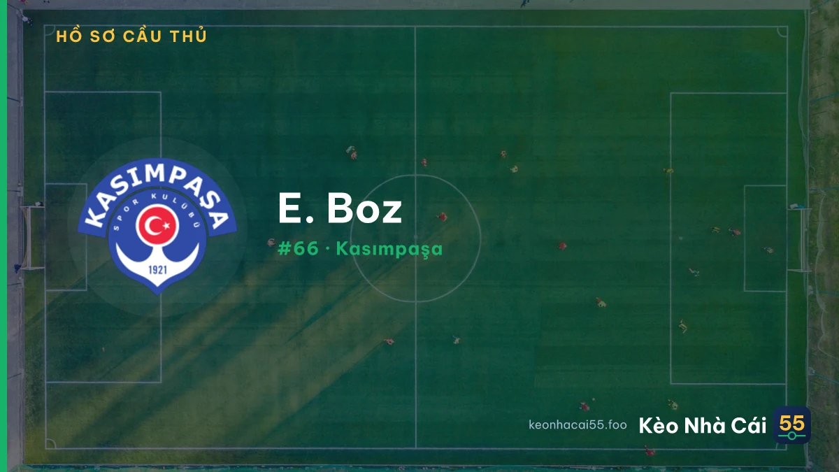 E. Boz