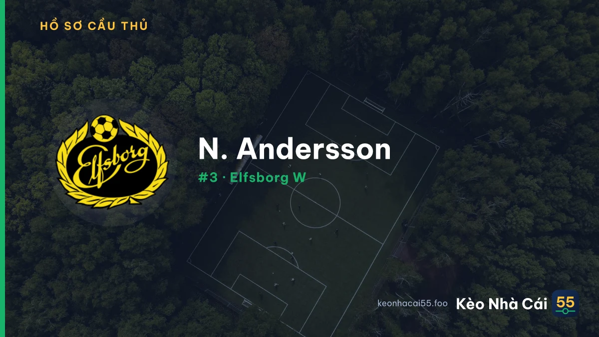 N. Andersson — Elfsborg W