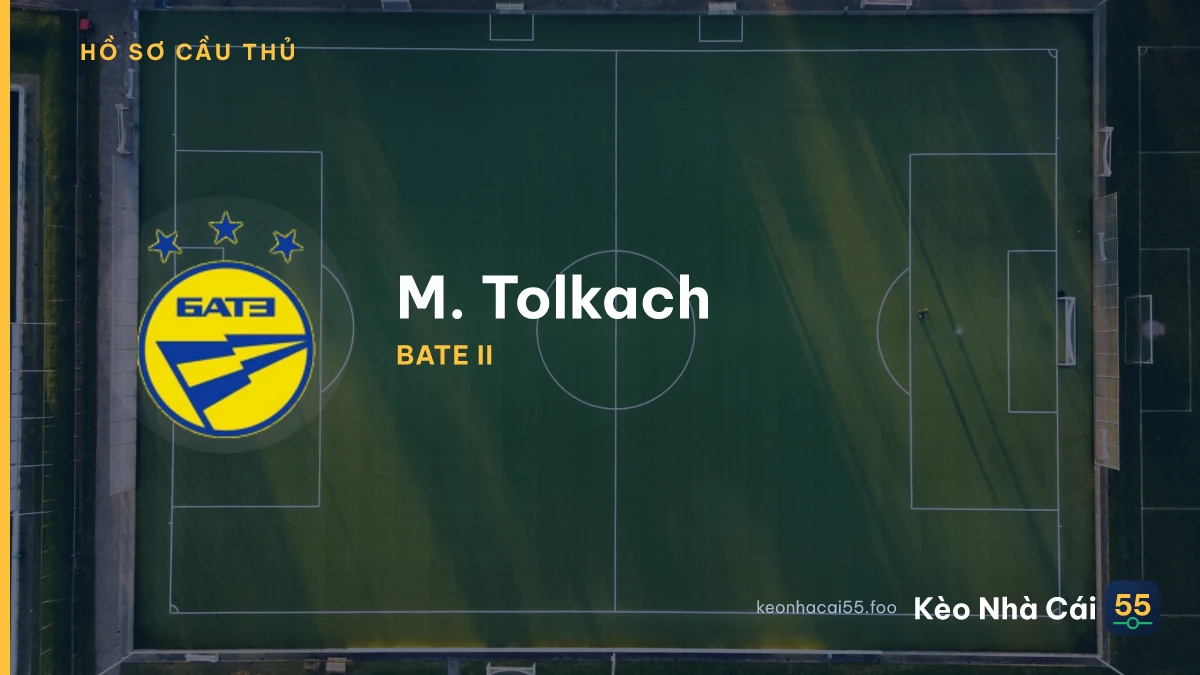 M. Tolkach