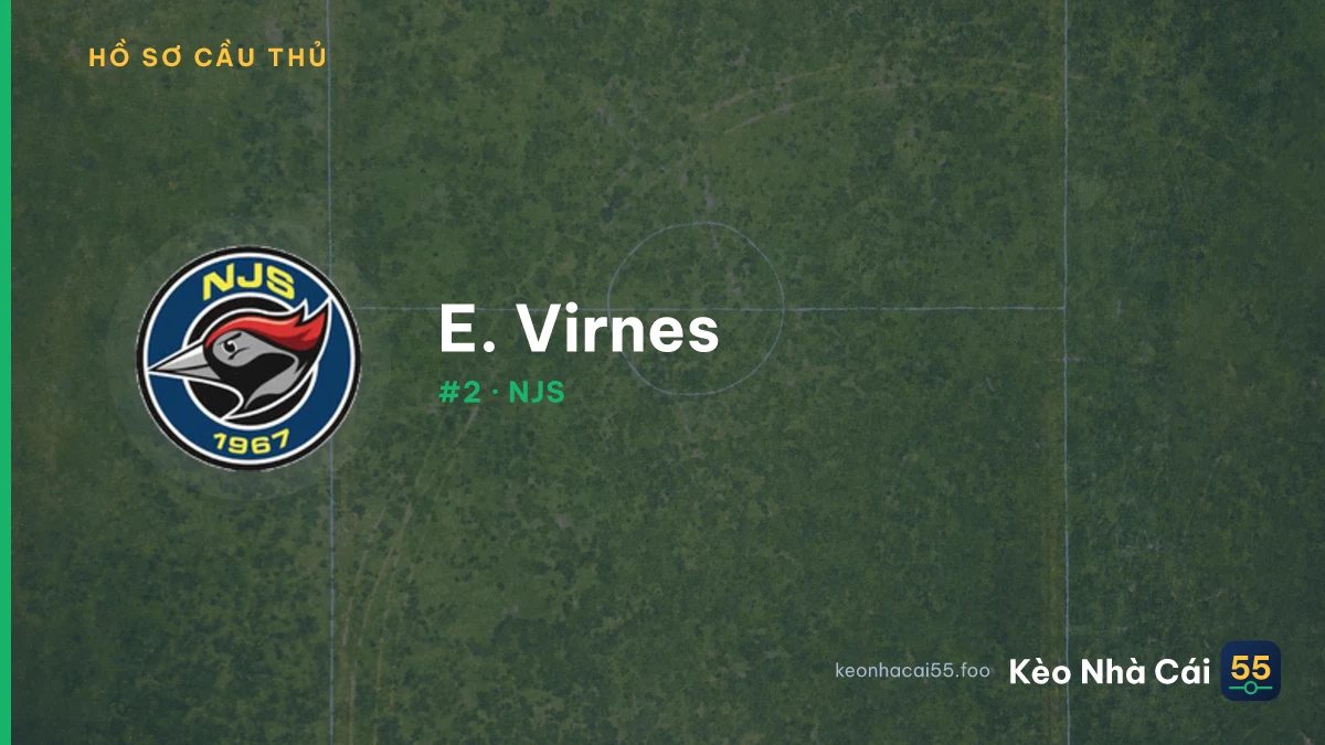 E. Virnes — NJS