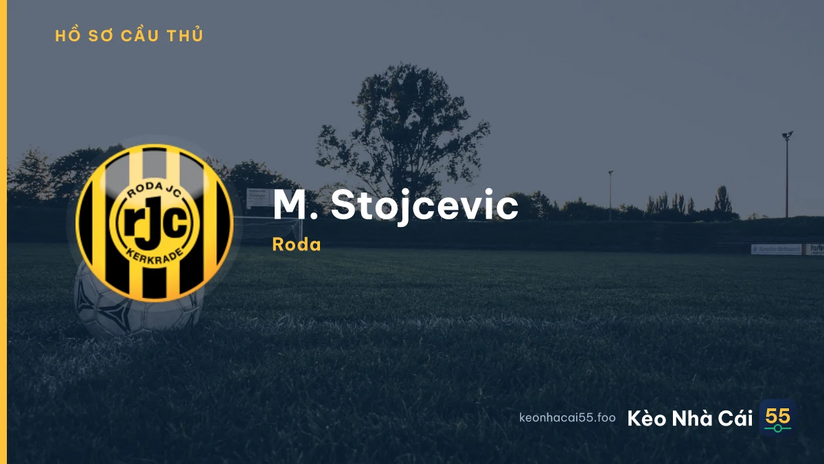 M. Stojcevic